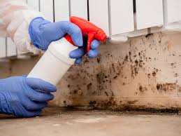 Forensic Mold Investigation in Barron, WI